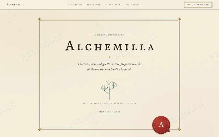 Alchemilla
