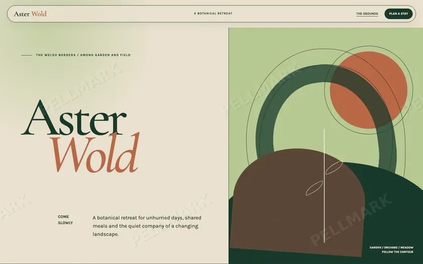 Aster Wold